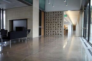 Low Sheen Polished Concrete 1