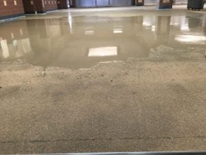 Tomball HS Ardex cement shine cafe 6