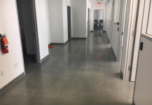 Demarco Office Polished Concrete floor