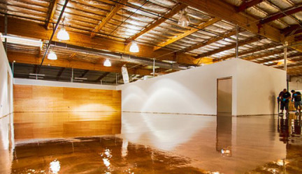 Metallic Epoxy Floors